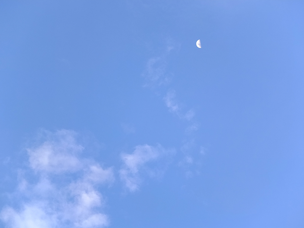 Half moon in clear blue sky, Singapore