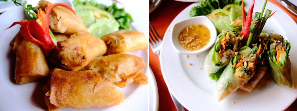 Fried Spring Rolls and Fresh Spring Rolls