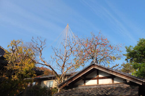 Myoryuji Temple, also known as Ninja Temple