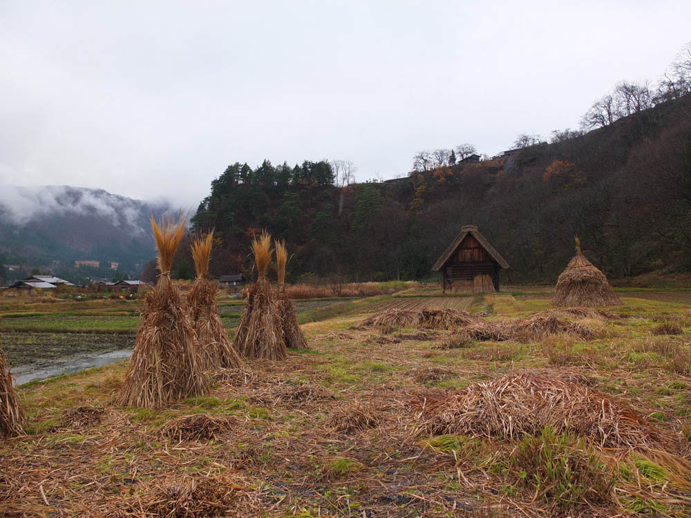Shirakawa-go huts