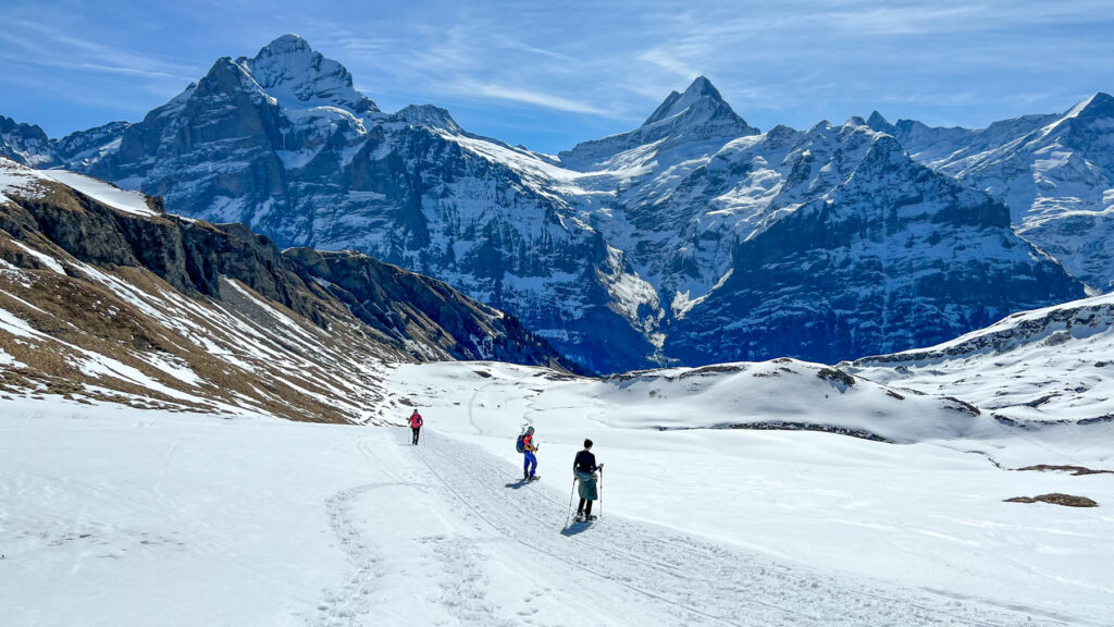 Snowshoeing on First in Switzerland