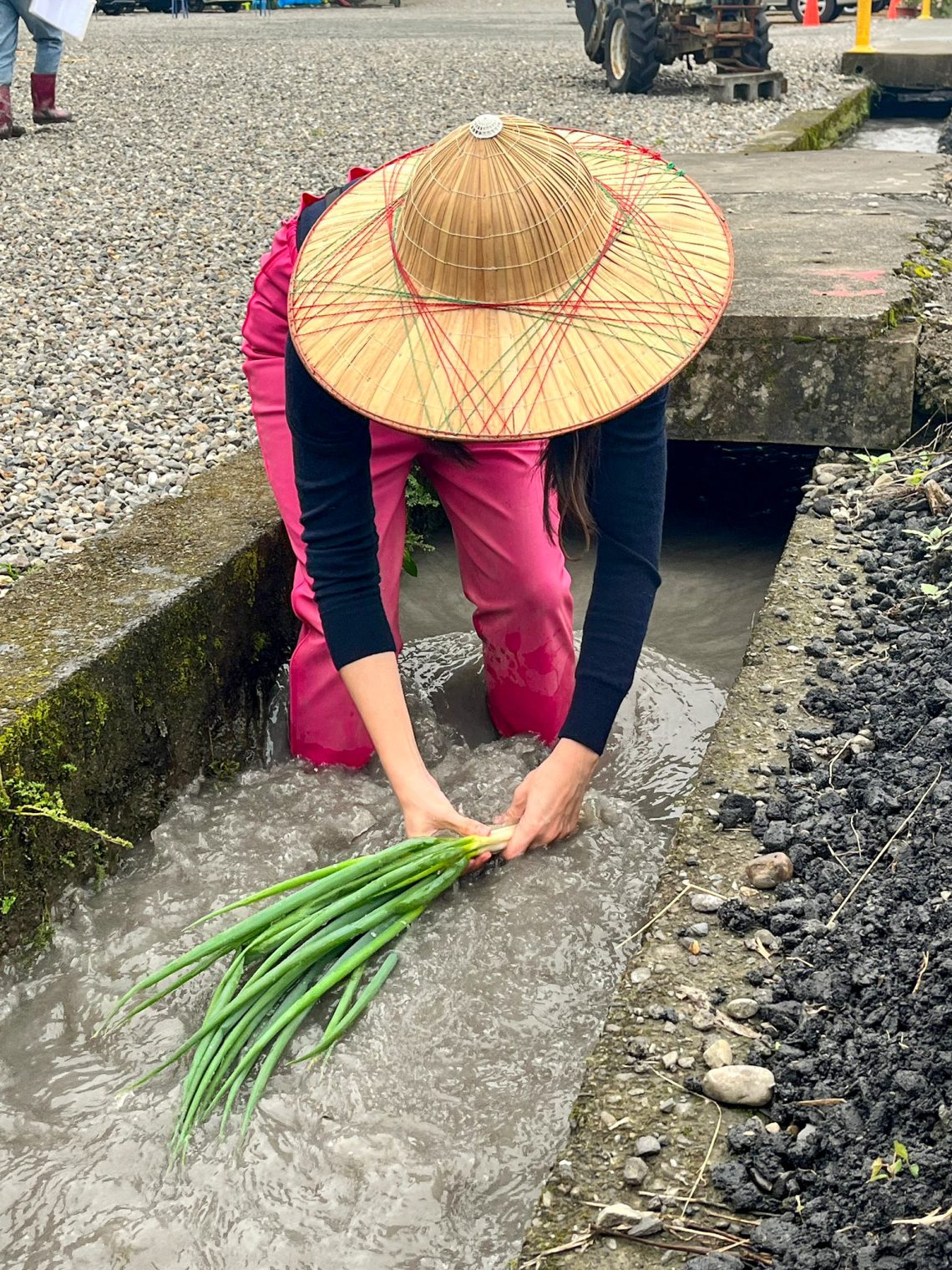 Chumi Farm (初咪體驗農場) in Yilan