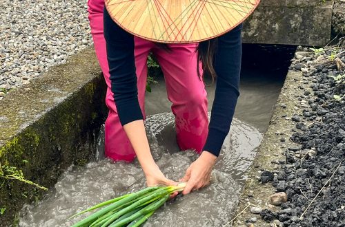 Chumi Farm (初咪體驗農場) in Yilan