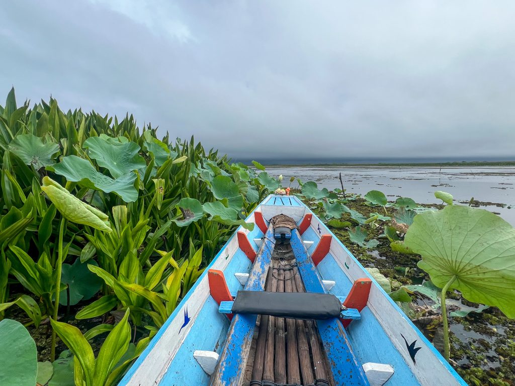 Thale Noi Waterbird Park